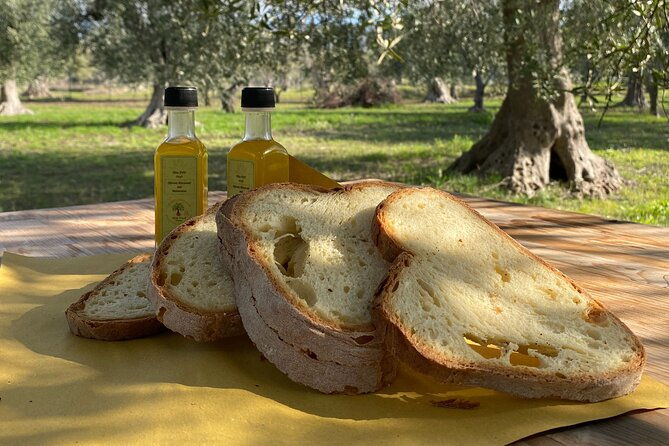 food-and-wine-tour-between-the-patriarchs-olives-and-the-oil-temples-2