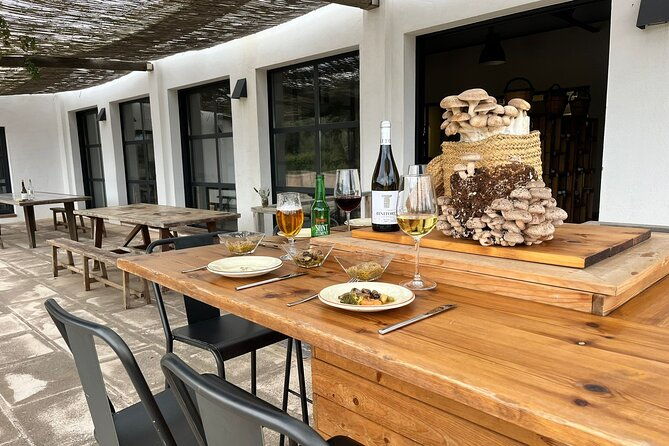 food-experience-in-mushroom-cultivation-tour-not-included-2