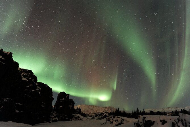 forest-lagoon-and-northern-lights-guided-night-tour