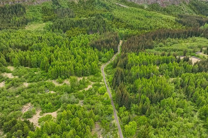 forest-lagoon-ebike-tour-akureyri