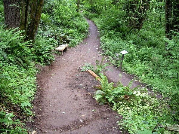 forest-park-urban-hiking-tour-portland