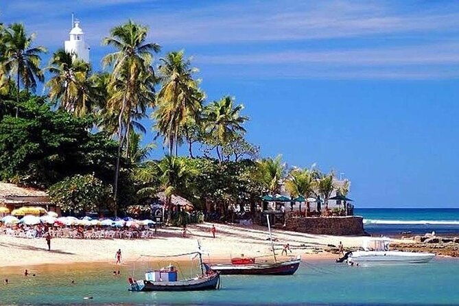 fort-beach-tour-and-tamar-project