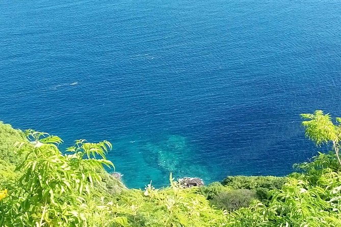 fort-charlotte-botanical-gardens-and-kingstown-tours-with-detention-tours