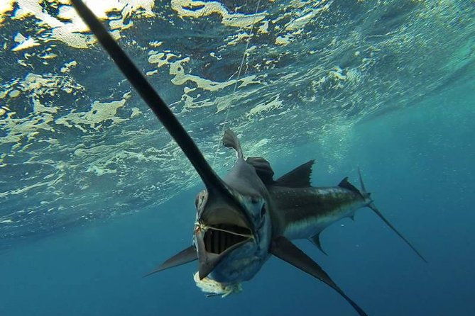 four-hour-fishing-tour-in-dominica