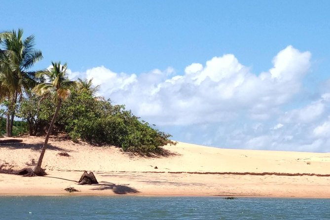 foz-do-rio-sao-francisco