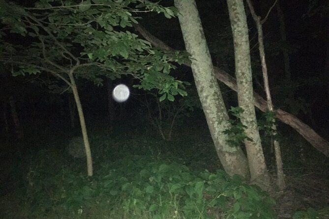 fright-night-investigation-small-group-gettysburg