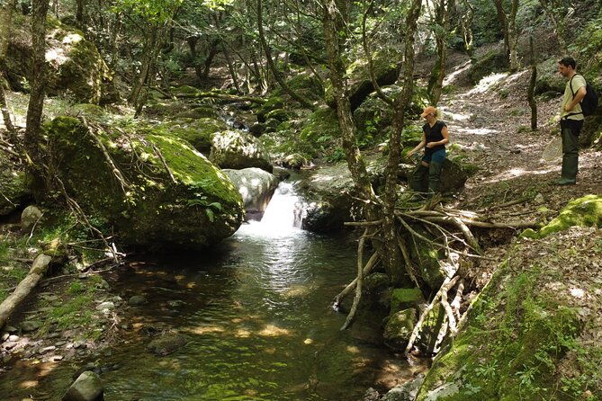 from-catania-syracuse-and-taormina-fly-fishing-experience