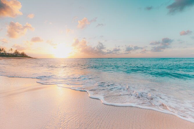 from-florida-bimini-bahamas-day-trip-by-fast-ferry