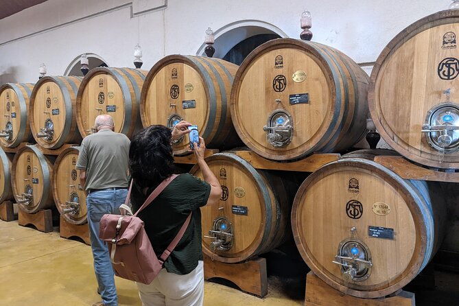 from-lake-garda-full-day-valpolicella-wine-and-lunch-guided-trip-2