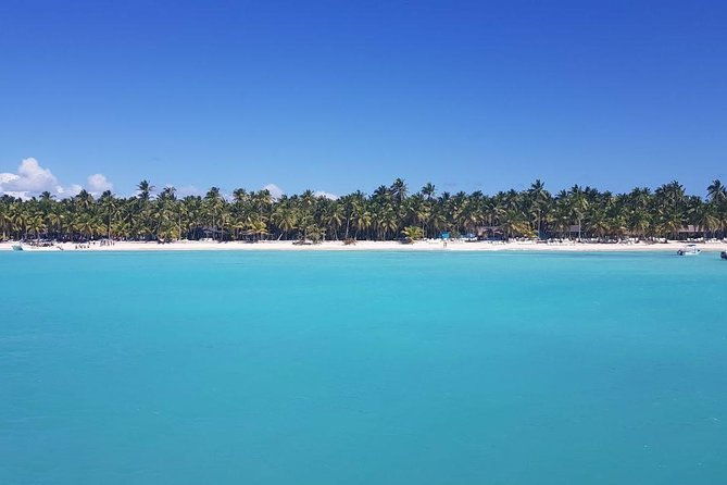 from-punta-cana-saona-island-full-day-for-small-group-catamaran