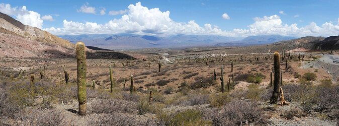 from-salta-full-day-tour-to-cachi-and-los-cardones-national-park