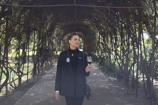 from-santiago-vina-concha-y-toro-marques-half-day-tour