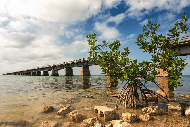 ft-lauderdale-to-key-west-day-trip-quality-day-tours