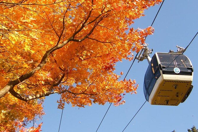 fuji-day-trip-to-hakone-pirate-boat-ropeway-gotemba-outlets