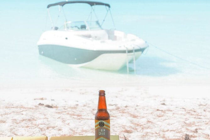 full-day-7hours-beach-bbq-snorkel-iguana-island-half-moon-bay-pine-cay-fun
