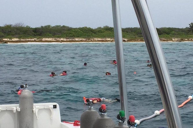 full-day-at-catalina-island-from-santo-domingo-with-optional-snorkeling-included