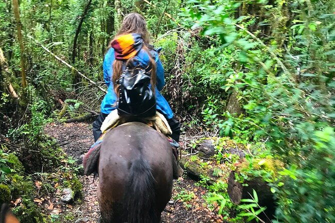 full-day-cayutue-horse-ride