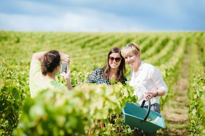 full-day-champagne-pommery-small-group-tour-3
