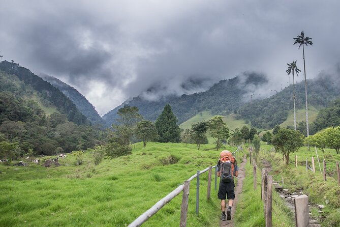 full-day-climbing-the-cocora-valley-with-lunch