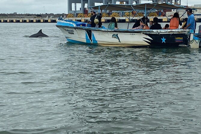 full-day-forest-and-the-fisherman-trail-from-guayaquil