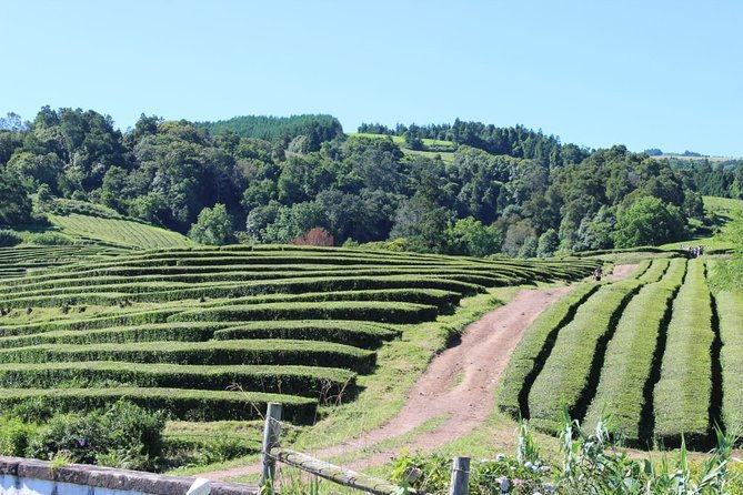 full-day-furnas-povoacao-and-nordeste-east-side-of-the-island