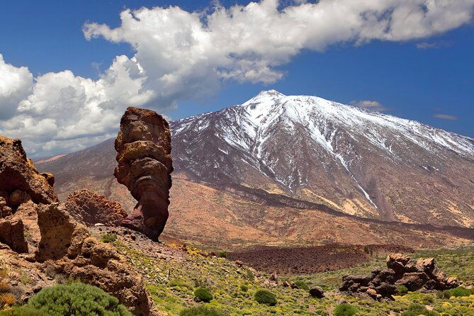 full-day-guided-tour-of-teide-by-cabrio-bus