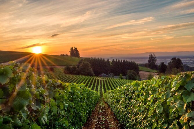 full-day-guided-wine-tour-with-tasting-and-lunch