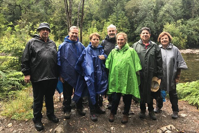 full-day-hike-alerce-andino-national-park