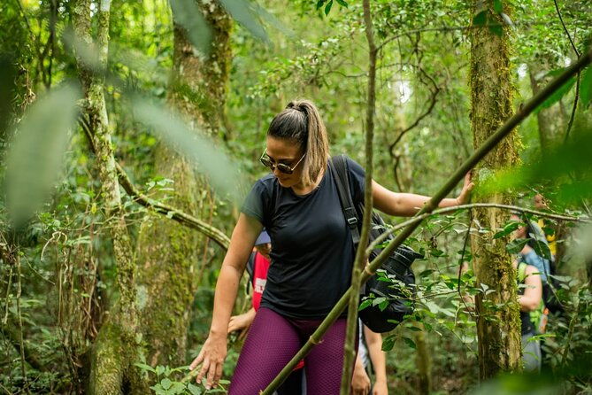 full-day-hike-through-secret-waterfalls-in-foz-do-iguacu
