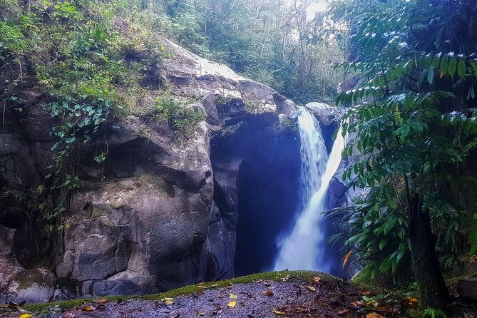 full-day-hiking-tour-in-minca-with-coffee-cocoa-workshop