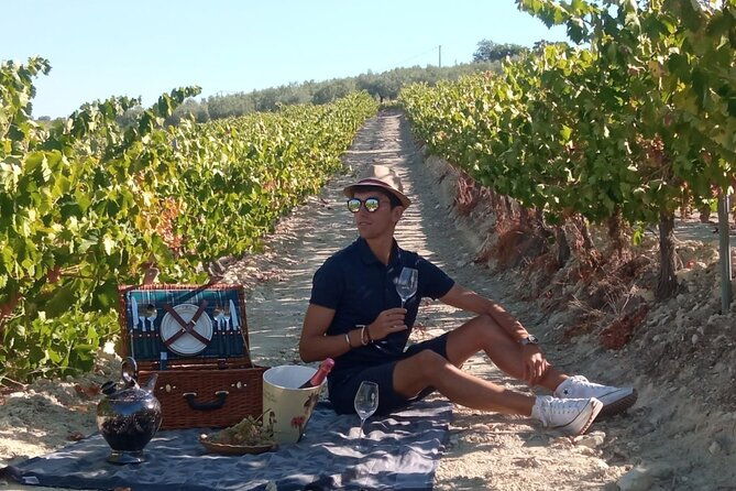 full-day-in-cordoba-between-vineyards-and-olive-trees-with-a-convertible-car