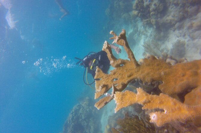 full-day-island-catalina-tours-punta-cana