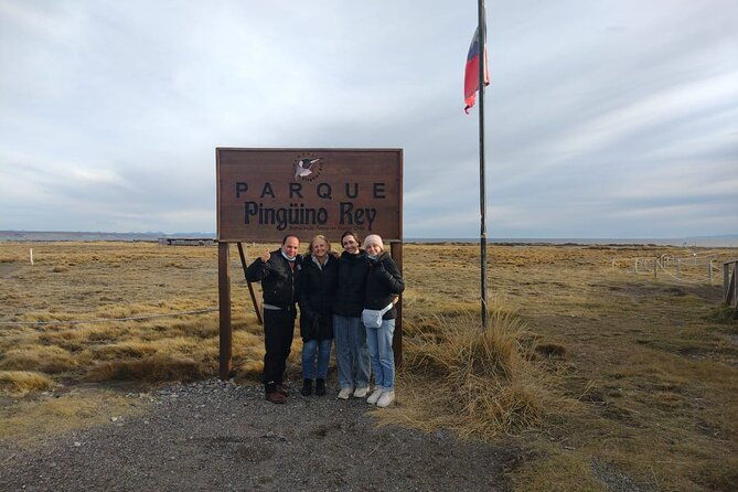 full-day-king-penguin-colony-private-tours