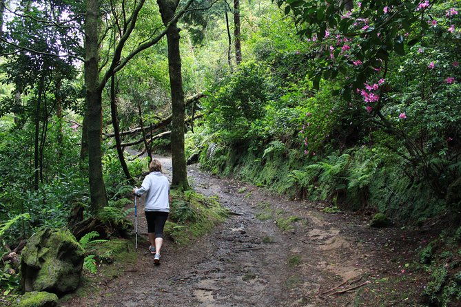 full-day-lagoa-do-fogo-tour-walking-liquor-tasting-private