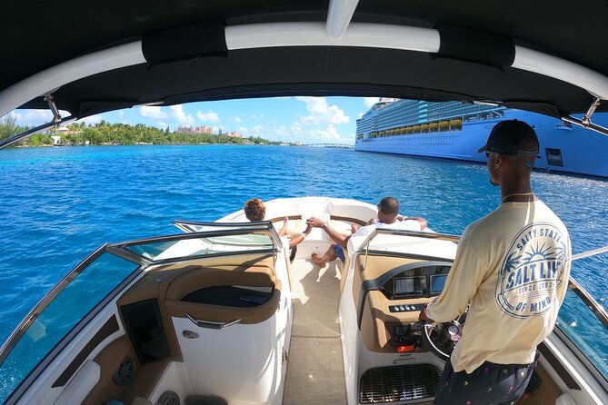 full-day-luxury-private-rose-island-pigs-and-turtles-excursion