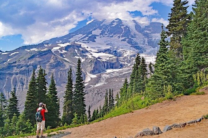 full-day-mt-rainier-national-park-private-tour-in-suv