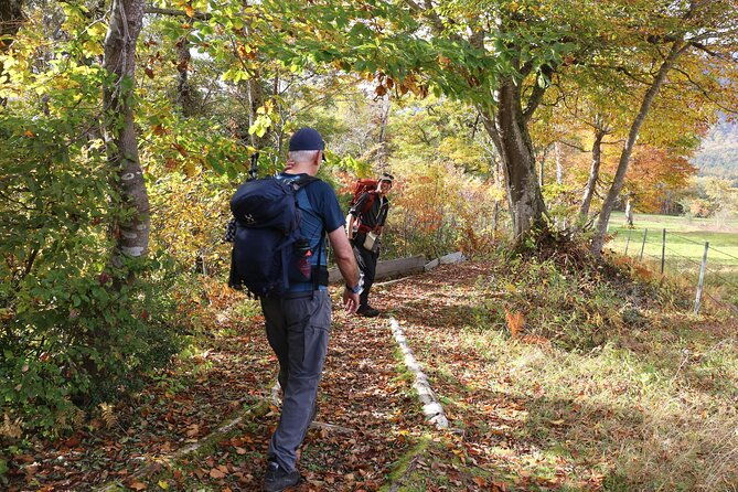full-day-north-nagano-hiking-experience