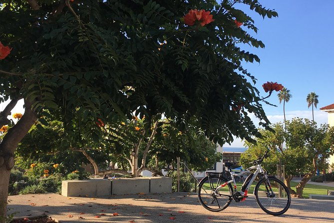 full-day-performance-ebike-rental