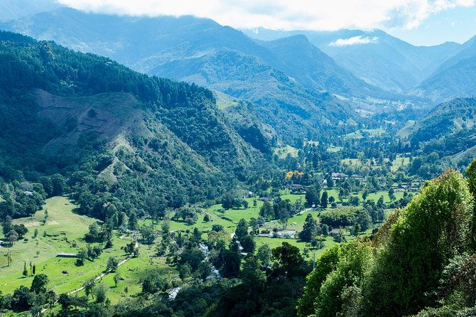 full-day-private-coffee-tour-in-cocora-valley-and-salento
