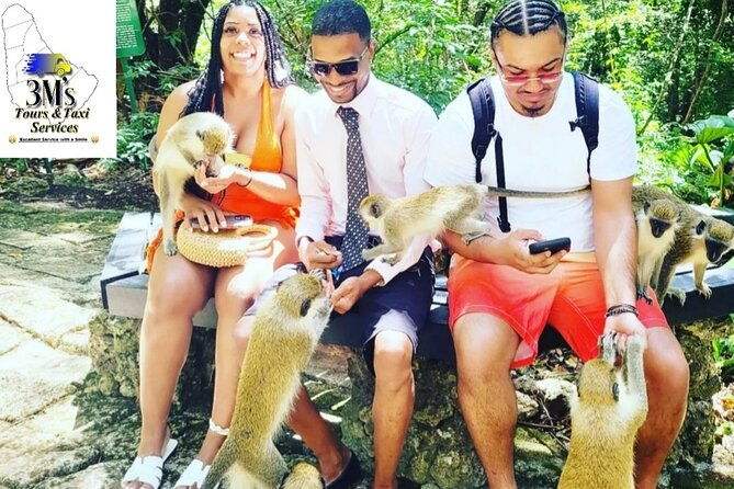 full-day-private-customized-island-tours