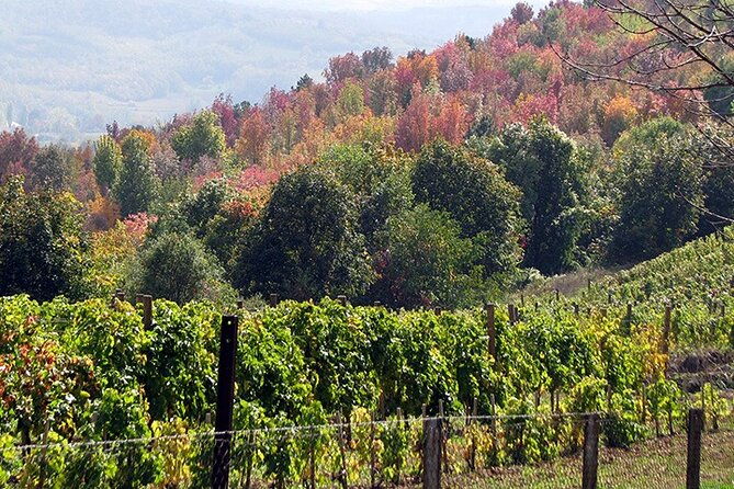 full-day-private-royal-heritage-tour-to-oplenac-with-a-winery-visit