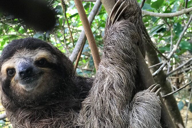 full-day-private-tortuguero-canal-and-zipline-adventure-in-limon