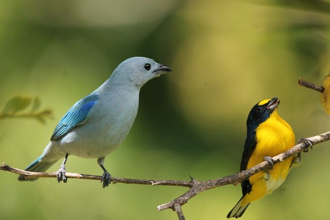 full-day-private-tour-in-monteverde-costa-rica
