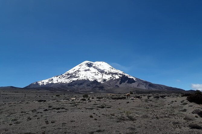 full-day-private-tour-to-cotopaxi-volcano-and-quilotoa-lagoon