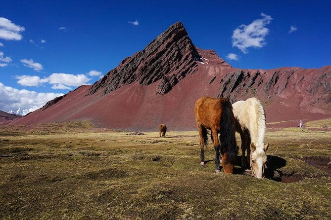 full-day-rainbow-mountain-tour-vinicunca-with-guide