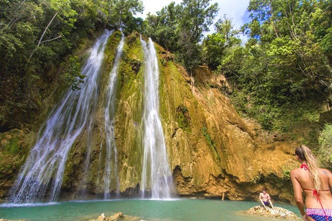 full-day-samana-whales-from-punta-cana-with-waterfall-bacardi-island-lunch
