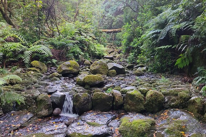 full-day-self-guided-hike-in-caldeirao-verde-levada-2