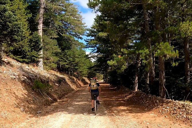 full-day-small-group-hiking-and-cycling-tour-from-taygetos-to-sparti