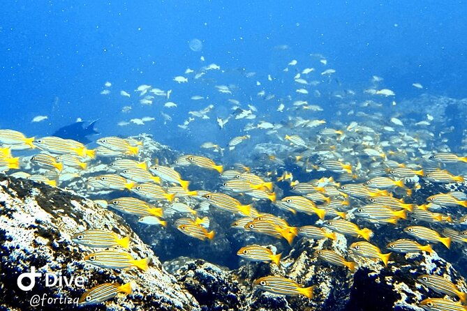 full-day-snorkeling-tour-santa-fe-island-and-playa-escondida