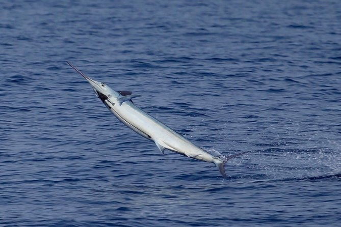 full-day-sportsman-enthusiast-charter
